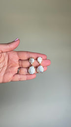 Freshwater Double Drops