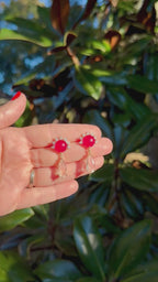 Red Diamond Halos