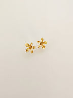 Lily Studs